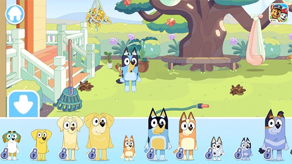 布鲁伊一起玩吧游戏