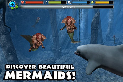 海豚模拟器中文版截图2