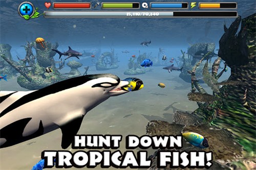 海豚模拟器中文版