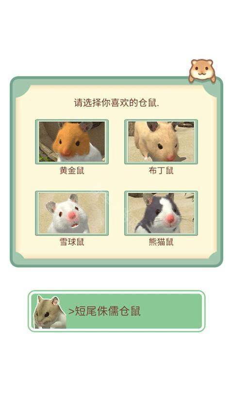 我的仓鼠中文版