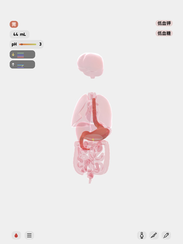 生命Life中文版