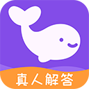 准准塔罗