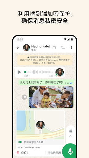 WhatsApp安卓手机版