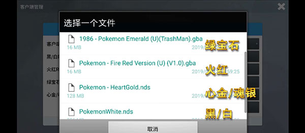 PokeMMO五个ROM版