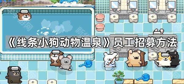 《线条小狗动物温泉》员工招募方法