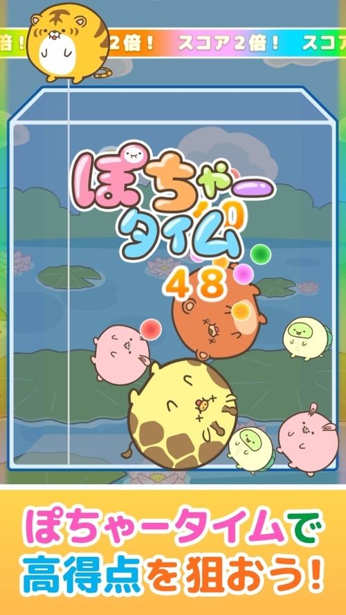 圆鼓鼓动物