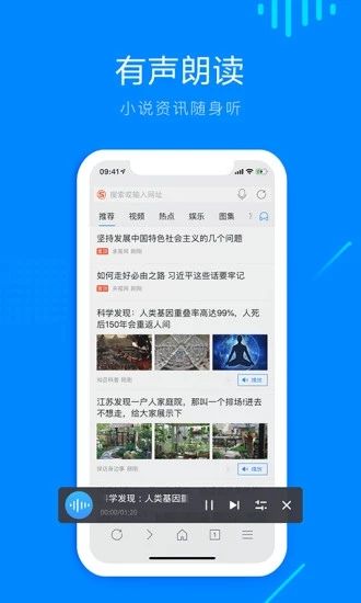 Safari手机浏览器