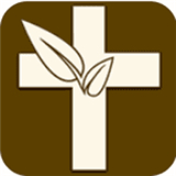 伴读圣经安卓2.0.8