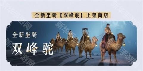 燕云十六声凉州版本