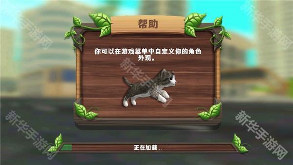 猫咪生存模拟器最新版