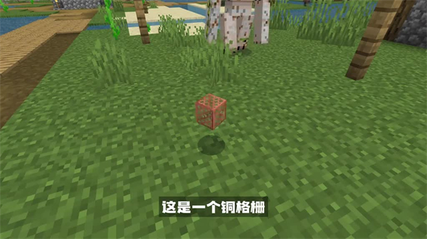 我的世界1.21.2基岩版