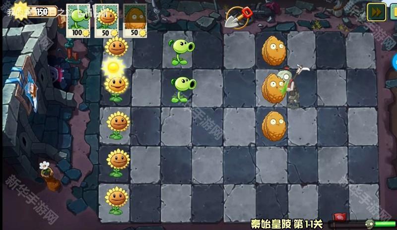 植物大战僵尸Wenhua版