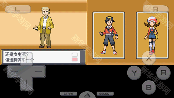 口袋妖怪心金魂银中文版