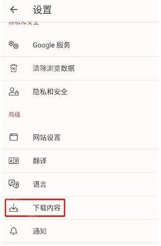 Kiwi浏览器免费版