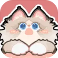 萌猫养成记
