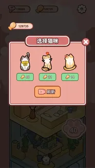 萌猫养成记
