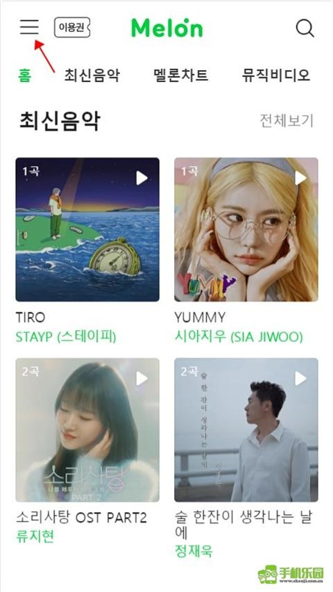 melon ticket国际版