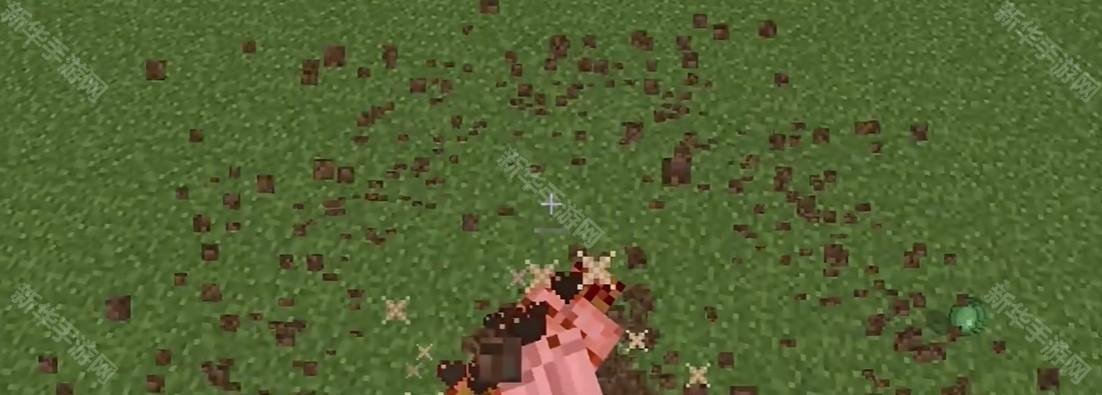 我的世界暑期版