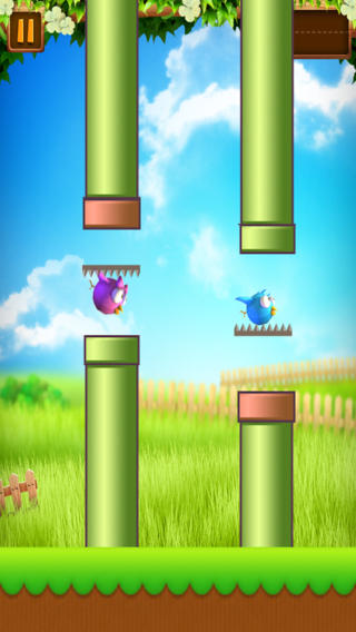 笨鸟先飞蝙蝠版