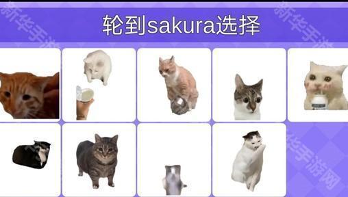 女巫的毒药猫meme版