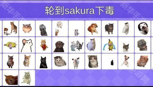 女巫的毒药猫meme版