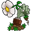 植物大战僵尸联机版