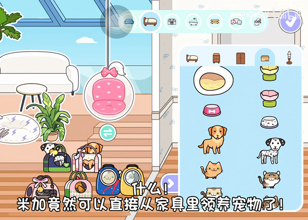 米加小镇宠物自建房无广告