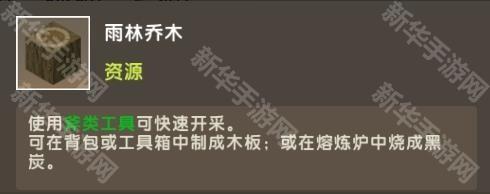 迷你世界雨林版本