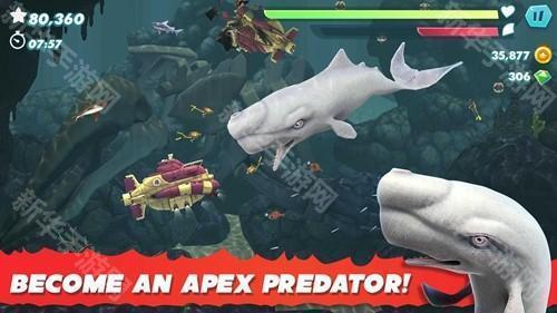 饥饿鲨进化免广告版