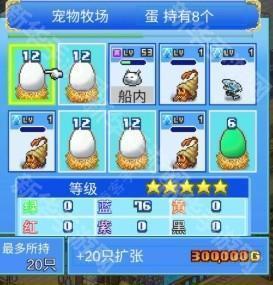 大海贼探索冒险岛汉化版