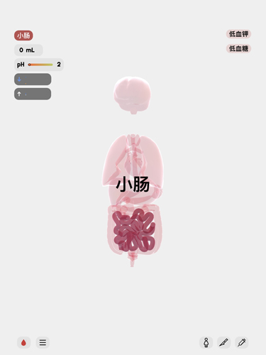 life生命模拟器截图5