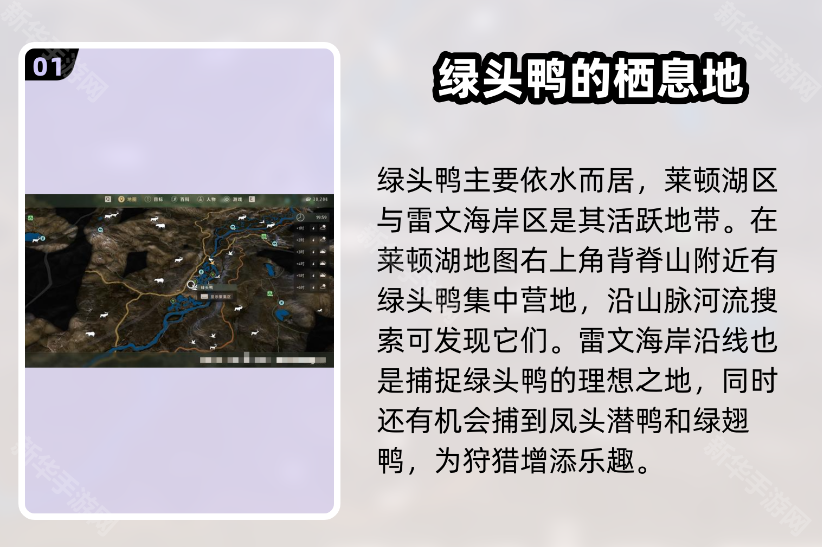 狩猎之道中文版