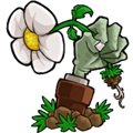 植物大战僵尸仿E版支线版