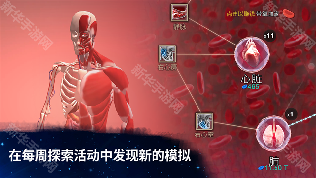 从细胞到奇点官方正版