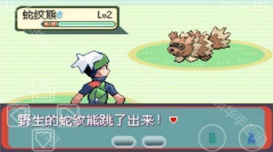 精灵宝可梦绿宝石随机版