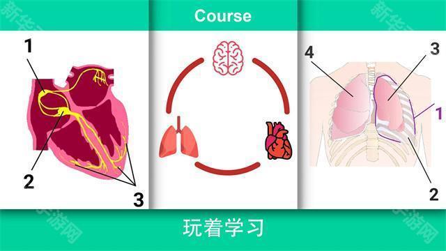 康复公司医疗模拟器汉化版