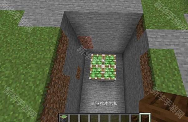 星木野2.9典藏版