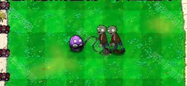 植物大战僵尸逆天版