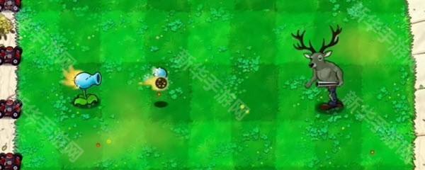 植物大战僵尸逆天版