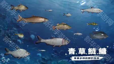 天天钓鱼达人版