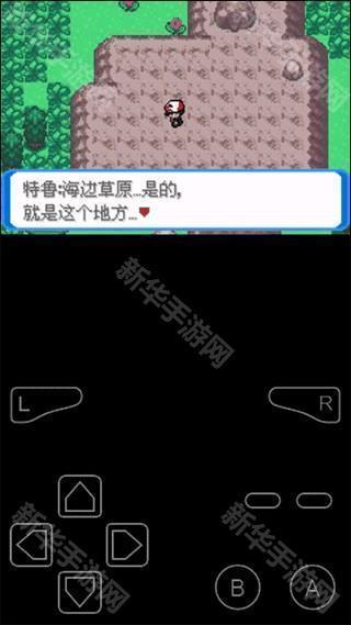 口袋妖怪决心中文版