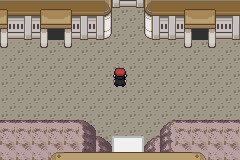 口袋妖怪决心内置修改器破解版