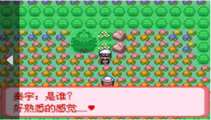 口袋妖怪暗古神坛传说