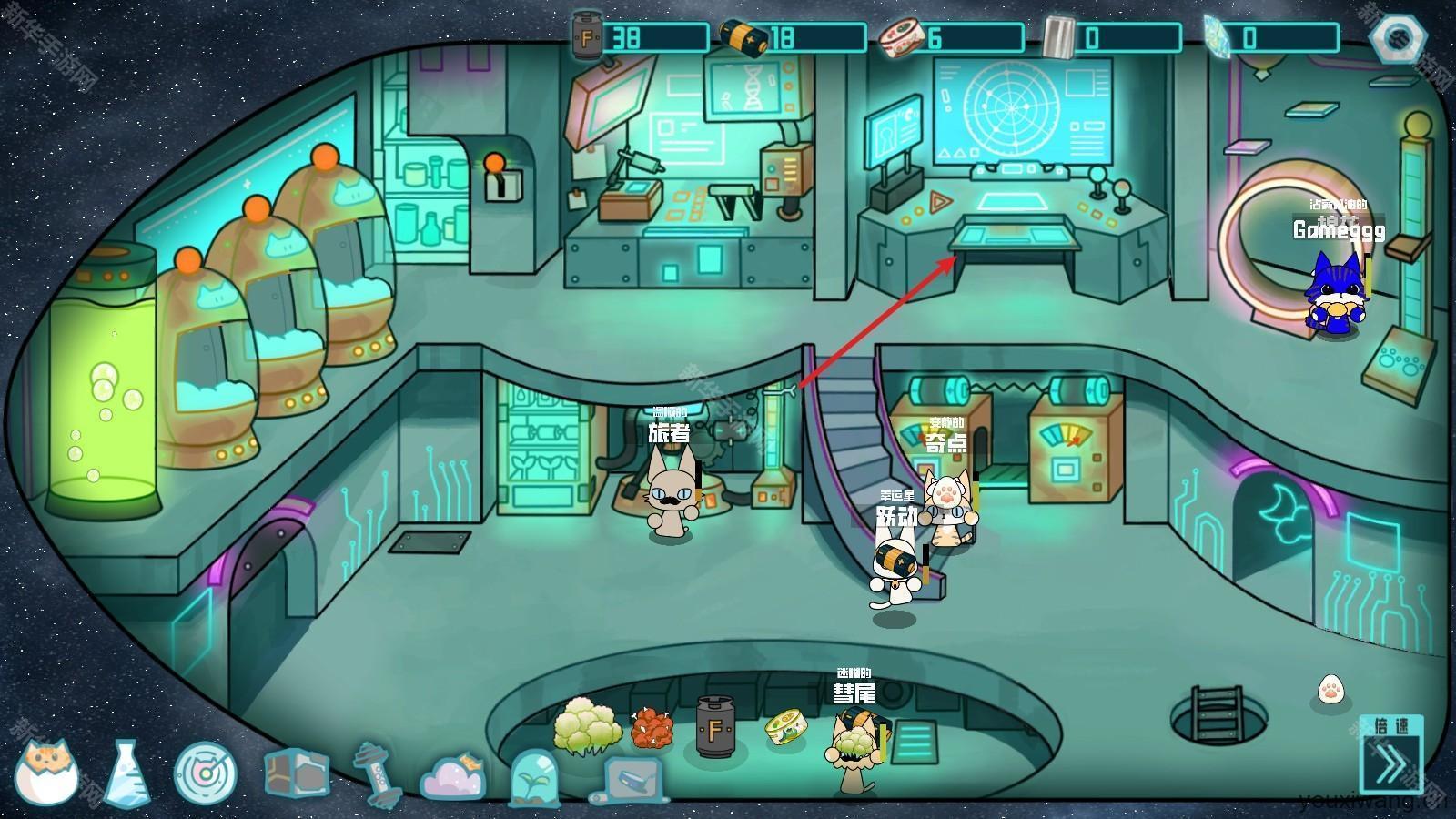 卵生猫之星际海贼团