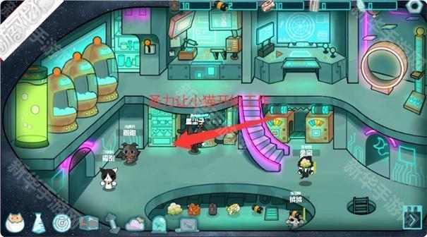 卵生猫之星际海贼团