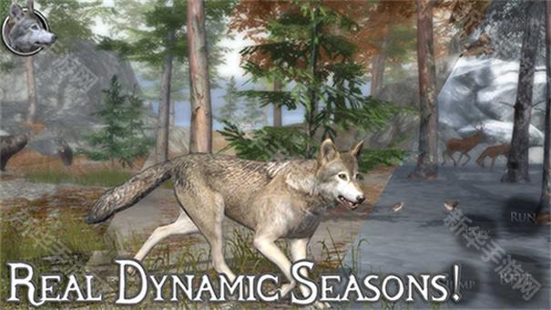 终极野狼模拟器2