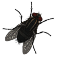 湖边之家恐怖任务