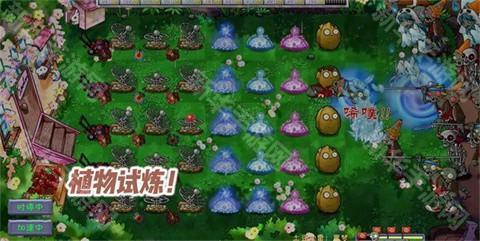 植物大战僵尸共生版正版