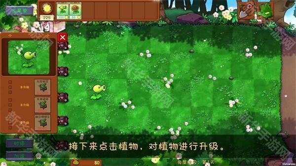 pvz共生版