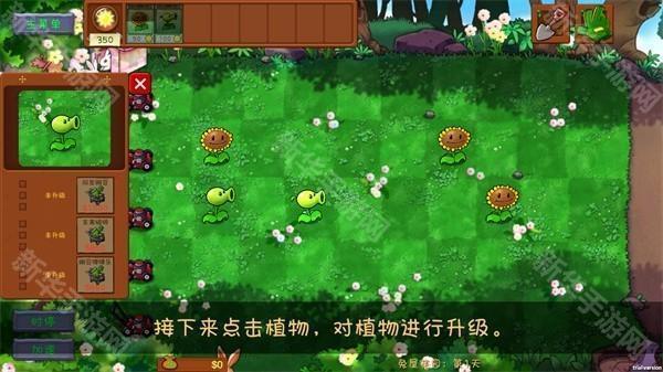 pvz共生版